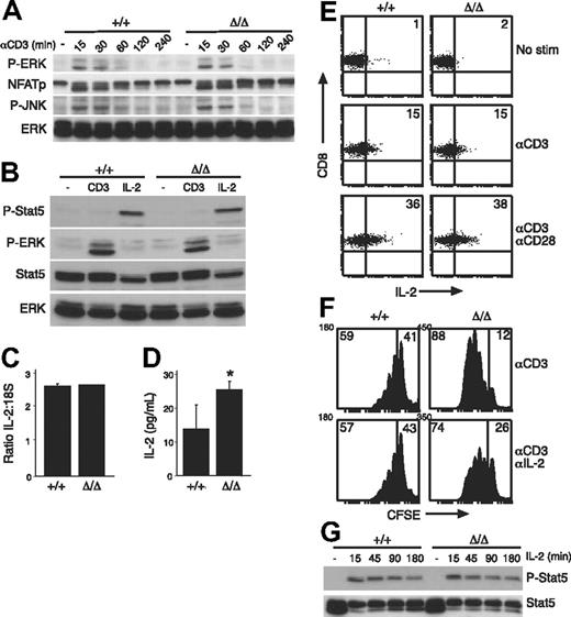 Figure 3. TCR-signaling pathways are intact in SOCS3-deficient T cells. (A) Total LN T cells from wt (+/+) or Socs3ΔLck/ΔLck (Δ/Δ) mice were stimulated with 10 μg/mL anti-CD3 for the indicated times and immunoblotted with antibodies specific for the indicated proteins. An antibody specific for ERK was used as a loading control. (B) LN T cells were either unstimulated or stimulated with 10 ng/mL IL-2 or anti-CD3 and immunoblotted with the indicated antibodies. Antibodies specific for ERK and STAT5 were used as loading controls. LN T cells were stimulated for 24 hours with anti-CD3, and the expression of IL-2 was measured by quantitative RT-PCR (C) and enzyme-linked immunosorbent assay (D). (E) CD8+ T cells were stimulated for 20 hours with anti-CD3 with or without anti-CD28 and analyzed by an intracellular FACS for IL-2 production. Numbers in quadrants refer to the percentage of cells that fall within that quadrant. (F) Purified LN CD8+ T cells were CFSE labeled and cultured for 3 days with 5 μg/mL anti-CD3 either alone or in the presence of 20 μg/mL anti–IL-2 antibody. Numbers in quadrants refer to the percentage of cells that fall within that quadrant. (G) LN T cells were stimulated with IL-2 (20 ng/mL) for the indicated times, and STAT5 phosphorylation was measured by immunoblotting. Data are representative of 2 to 3 independent experiments. P-ERK indicates phospho-ERK; NFATp, nuclear factor of activated T cells; P-JNK, phospho-Jun N-terminal kinase; P-Stat5, phospho-STAT5. Values shown in C and D are means (± SD) of triplicate measurements. *P < .05.