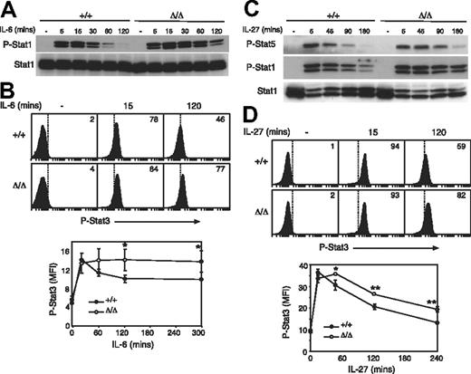 Figure 5. SOCS3-deficient T cells are hyperresponsive to gp130 cytokines. Purified LN T cells were stimulated with IL-6 (A) or IL-27 (C) for the indicated times, and STAT activation was measured by immunoblotting with antibodies specific for phosphorylated STAT (P-Stat) proteins, as indicated. Antibodies specific for total STAT were used as loading controls. Activation of STAT3 in response to IL-6 (B) and IL-27 (D) was assayed by intracellular flow cytometry in CD8+ T cells. The mean fluorescence intensity (MFI) of phospho-STAT3 staining is shown below. Each data point represents mean (± SD) of values from 3 mice of each genotype. ■ indicates wt cells; □, Socs3ΔLck/ΔLck cells. Data are representative of 2 to 3 independent experiments. *P < .05; **P < .001.