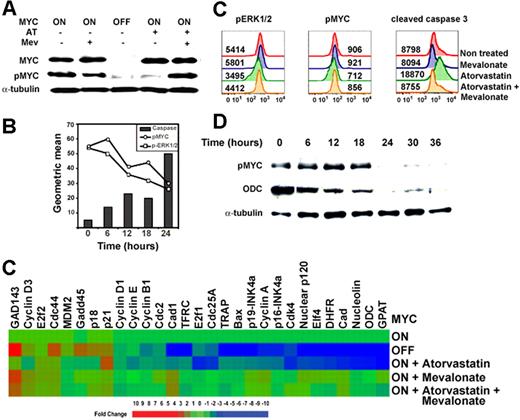 Figure 4. Atorvastatin treatment results in the dephosphorylation and inactivation of MYC. (A) Analysis of levels of MYC protein expression and phosphorylation. Levels of MYC and MYC phosphorylated at Ser62 and Thr58 (p-MYC) measured by Western analysis. (B) Temporal analysis of MYC phosphorylation. MYC-induced lymphoma cell lines were treated with atorvastatin and analyzed at indicated times for phosphorylation of ERK1/2, phosphorylation of MYC, and cleavage of caspase 3 by FACS. (C) Treatment of human Burkitt lymphoma cell line ST486 with atorvastatin. Levels of pERK1/2, pMYC, and cleaved caspase 3 were analyzed by FACS following treatment with 10 μM atorvastatin (AT), 100 μM mevalonate (Mev), or 10 μM atorvastatin plus 100 μM mevalonate (AT + Mev). (D) Temporal analysis of MYC phosphorylation. MYC-expressing tumor cells (0.3 × 106) were treated with atorvastatin (10 μM) for different lengths of time and analyzed for changes in MYC phosphorylation and expression of ODC, a known MYC transcriptional target. This image was cropped so that the 0- and 6-hour time points were next to each other. (E) Quantitative real-time PCR analysis of cDNA from MYC lymphoma cells where MYC was expressed (MYC ON) or MYC was inactivated (MYC OFF) after doxycycline treatment (20 ng/mL) or in the presence of 10 μM AT, 100 μM Mev, or 10 μM AT plus 100 μM Mev. Expression of each gene was normalized to the expression of ubiquitin. Changes in gene expression were measured for each treatment and compared with MYC-expressing nontreated tumor cells. Changes greater than 2-fold are statistically significant, as indicated in blue and orange/red (t test: P < .05-.001).