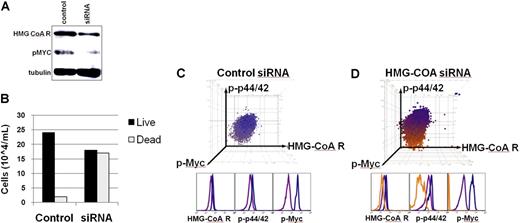 Figure 6. Inactivation of HMGcoA reductase by RNAi was sufficient to induce loss of a neoplastic phenotype. (A) HMGcoA reductase and pMYC protein expression in cells treated with siRNA. An MYC-induced lymphoma cell line was transfected with smart-pool siRNA (Dharmacon RNA Technologies) directed against HMGcoA reductase and compared with mock-transfected cells. Protein expression was analyzed 18 hours after treatment by Western analysis. (B) Cell survival upon siRNA knockdown of HMGcoA reductase. Cells were stained with trypan blue and analyzed for survival 30 hours after transfection with siRNA. (C-D) Single-cell FACS analysis of cells transfected with siRNA. Levels of expression of HMGcoA reductase, phosphorylated ERK1/2, and phosphorylated MYC after (C) control/mock transfection or (D) transfection with siRNA against HMGcoA reductase, as measured by FACS analysis. A 3-color clustering of cellular populations was performed in FlowJo, and unique populations were color coded. Cells that do not incorporate the siRNA are blue/purple. Cells that incorporate the siRNA are orange.