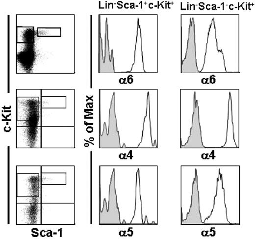 Figure 1. Integrin expression in mouse fetal liver HSCs. E14.5 FL cells were stained with lineage antibodies (Lin) and gated for Lin− and viable cells. Lin− viable cells were gated for Sca-1−c-Kit+ clonogenic progenitor cells and the more primitive Sca-1+c-Kit+ (LSK) cells. The left panels show gates for Sca-1+c-Kit+ and Sca-1−c-Kit+ on Lin− cells. A ubiquitous expression of integrin α6, α4, and α5 chains was seen in LSK cells (right panels) and Lin−Sca-1−c-Kit+ progenitors (middle panels). Staining with the anti-integrin antibodies is shown as open histograms and staining with isotype control antibodies, as gray histograms. Shown is 1 representative analysis of 2.