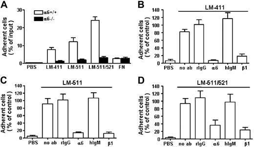 Figure 2. Adhesion of mouse fetal liver LSK cells to laminins and inhibition of cell adhesion by antibodies against integrin α6 and β1 chains. (A) The adhesion of integrin α6−/− FL LSK cells (α6−/−) and wild-type littermates (α6+/+) to laminin-411 (LM-411) (30 μg/mL), laminin-511 (LM-511) (10 μg/mL), and laminin-511/521 (LM-511/521) (10 μg/mL). PBS indicates adhesion to wells coated with PBS instead of proteins; FN, adhesion to wells coated with fibronectin. Data represent mean (± SEM) from 2 experiments performed in triplicate. Asterisks indicate differences compared with wild-type cells. (B-D) Adhesion of LSK cells to wells coated with LM-411 (B), LM-511 (C), and LM-511/521 (D) in the presence of antibodies GoH3 against integrin α6 chain (α6), Ha2/5 against integrin β1 chain (β1), or control rat or hamster monoclonal antibodies (rIgG and hIgM, respectively). PBS indicates cell adhesion to wells coated with PBS instead of proteins. The results are shown as percentage adherent cells of mean adhesion obtained after treatment with rIgG control antibody. Data are mean (± SEM) from 2 to 3 experiments performed in triplicate.
