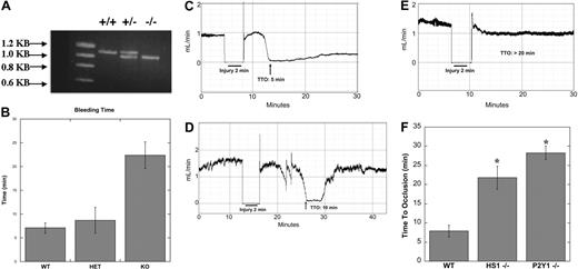 Figure 5. In vivo functional consequences of HS1 deficiency in mice. (A) The mice's tails were clipped 0.3 cm from the end and submerged in 0.9% saline. The clipped portions were isolated and subjected to genotyping of the HS1 locus by PCR. (B) Time until the stoppage of bleeding was measured; the times were then compared with that of the PCR analysis (n > 15). Statistical analysis by ANOVA revealed a P value less than .01 between HS1-deficient and wild-type (WT) mice and HS1-deficient and HS1-heterozygote (HET) mice. Error bars indicate standard error. (C-E) Wild-type (n = 8) (C) and HS1- (n = 11) (D) and P2Y1- (n = 8) (E) deficient mice were injured by 10% FeCl3 for 2 minutes, and time to occlusion (TTO) was measured by optical Doppler flow. (F) Time to 90% occlusion was calculated and graphed. Statistical analysis by t test revealed a P value less than .01 between wild-type and HS1-deficient mice and wild-type and P2Y1-deficient mice. *Statistically significant (P < .01).