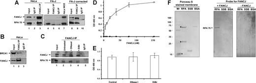 Figure 1. FANCJ and RPA are associated with each other in vivo and directly interact. (A) Coimmunoprecipitation of RPA with FANCJ. FANCJ antibody coprecipitates FANCJ and RPA from HeLa or FA-J–corrected cells but not from the FA-J extracts. The blot was probed with rabbit anti-FANCJ (top) and mouse anti-RPA (bottom) antibodies. (Lane 1) HeLa nuclear extract (15% of input), (lane 2) control immunoprecipitate from HeLa nuclear extract using normal rabbit IgG, (lane 3) immunoprecipitate from HeLa nuclear extract using rabbit anti-FANCJ antibody, (lane 4) FA-J whole-cell extract (WCE; 15% of input), (lane 5) immunoprecipitate from FA-J WCE using rabbit anti-FANCJ antibody, (lane 6) control precipitate from FA-J WCE using normal rabbit IgG, (lane 7) WCE from HeLa included as control for Western detection of FANCJ and RPA, (lane 8) FA-J corrected WCE (15% of input), (lane 9), immunoprecipitate from FA-J–corrected WCE using rabbit anti-FANCJ antibody, and (lane 10) control immunoprecipitate from FA-J–corrected WCE using normal rabbit IgG. (B) Coimmunoprecipitation of BRCA1 with FANCJ. FANCJ antibody coprecipitates FANCJ and BRCA1 from HeLa nuclear extract. The blot was probed with rabbit anti-FANCJ (top) and mouse anti-BRCA1 (bottom) antibodies. (Lane 1) HeLa nuclear extract (15% of input), (lane 2) immunoprecipitate from HeLa nuclear extract using rabbit anti-FANCJ antibody, and (lane 3) control immunoprecipitate from HeLa nuclear extract using normal rabbit IgG. (C) FANCJ antibody coprecipitates FANCJ and RPA from HeLa nuclear extracts in the presence of ethidium bromide or DNaseI. The blot was probed with rabbit anti-FANCJ (top) and mouse anti-RPA (bottom) antibodies. (Lane 1) HeLa nuclear extract (15% of input), (lane 2) immunoprecipitate from HeLa nuclear extract using rabbit anti-FANCJ antibody, (lanes 3 and 4) immunoprecipitate from HeLa nuclear extracts in the presence of 2 μg/mL DNaseI or 10 μg/mL ethidium bromide using rabbit anti-FANCJ antibody, and (lane 5) control immunoprecipitate from HeLa nuclear extract using normal rabbit IgG. (D,E) FANCJ and RPA form a complex by direct physical interaction. (D) RPA (96 nM heterotrimer, □) or ESSB (96 nM homotetramer, ■) was coated onto the ELISA plate. After blocking with 3% BSA, the wells were incubated with increasing concentrations of purified recombinant FANCJ protein (0-150 nM) for 60 minutes at 37°C. Wells were aspirated and washed 3 times, and bound FANCJ-WT protein was detected by ELISA with a rabbit polyclonal antibody against FANCJ. (E) Same as described for panel D except 2 μg/mL DNase I or 10 μg/mL ethidium bromide (EtBr) were incubated with RPA (96 nM) and FANCJ (77 nM) during the binding step in the corresponding wells. The values represent the mean of 3 independent experiments performed in duplicate with standard deviation (SD) indicated by error bars. (F) FANCJ and RPA interact by the 70-kDa subunit of RPA. Purified RPA, ESSB, and BSA (as indicated above the lanes) were subjected to SDS–polyacrylamide gel electrophoresis on 3 identical gels. The proteins bound to membranes were stained with Ponceau S or transferred to nitrocellulose membrane and incubated with either purified FANCJ (+FANCJ) or no protein (−FANCJ). Western blotting with anti-FANCJ antibody was then used to detect the presence of FANCJ on each membrane. The positions of the 70-, 32-, and 14-kDa subunits of RPA are indicated by asterisks. The positions of the molecular mass standards running parallel are shown on the left.