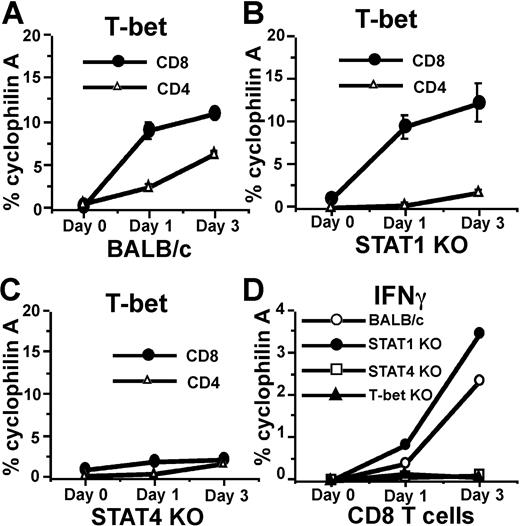Figure 6. AdV induces Stat4- but not Stat1-dependent CD8 T-bet expression in vivo. (A) AdV-GFP gene transfer vectors were injected into footpads of BALB/c mice. On days 1 and 3, CD8 and CD4 T cells were purified from draining LNs, and real-time RT-PCR was used to measure T-bet expression. (B) Real-time RT-PCR for T-bet expression in CD8 and CD4 T cells from Stat1-deficient mice injected with AdV-GFP. (C) Real-time RT-PCR for T-bet expression in CD8 and CD4 T cells from Stat4-deficient mice injected with Adv-GFP. (D) Real-time RT-PCR for IFNγ expression in CD8 T cells from various strains injected with AdV-GFP.