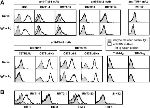 Figure 1. Expression of TIM family members on mouse mast cells. (A) Expression of TIM-1, TIM-2, TIM-3, and TIM-4 and of TIM-1 and TIM-3 ligands on naive or IgE + Ag–stimulated c-Kit+ FcϵRIα+ BMCMCs derived from C57BL/6J or (for TIM-3) C57BL/6Ka mice. (B) Expression of TIM-1, TIM-2, TIM-3, and TIM-4 on peritoneal c-Kit+ FcϵRIα+ mast cells from C57BL/6J mice. Results in panels A and B are representative of similar results that were obtained in 3 independent experiments.