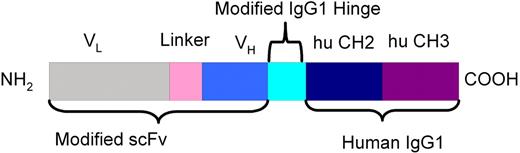 Figure 1. Schematic diagram of small modular immunopharmaceuticals (SMIP).
