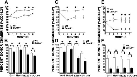 Figure 2. Serial transplantation assays show that Cul4A+/− HSCs have a self-renewal defect. (A) Secondary transplantation with donors from the 1:1 primary transplantation. For the primary transplantation with a 1:1 ratio of test to competitor cells, one recipient of Cul4A+/− test cells and a wild-type control with similar percentage donor chimerism 6 months after transplantation were used as donors in secondary transplantations. For each donor, 106 bone marrow LDMNCs were transplanted into 3 to 4 lethally irradiated wild-type recipients, and overall percentage donor chimerism was measured 1 to 6 months after transplantation for Cul4A+/− (■) and wild-type (□) test cells, similar to that described in Figure 1B. *P ≤ .02. (B) Engraftment into myeloid and lymphoid lineages. For the secondary transplantation described in panel A, engraftment of Cul4A+/− (filled bars) or wild-type (open bars) test cells into the granulocyte, macrophage, B-cell, and T-cell lineages was determined 5 months after transplantation as described in Figure 1C. *0.002 ≤ P < .05. (C) Tertiary transplantations. Tertiary transplantations were performed with donors from the secondary transplantation described in panels A and B: a recipient of Cul4A+/− test cells and a corresponding wild-type test cell recipient with closely matched percentage donor chimerism 6 months after transplantation were donors. For each donor, 106 bone marrow LDMNCs were transplanted into each of 5 to 6 wild-type recipients. Overall percentage donor chimerism was determined (as described in Figure 1B) 1 to 6 months after transplantation for Cul4A+/− (■) and wild-type (□) test cells. *P < .006. (D) Tertiary transplantation; engraftment into myeloid and lymphoid lineages. For the tertiary transplantation described in panel C, engraftment of Cul4A+/− (filled bars) or wild-type (open bars) test cells into the granulocyte, macrophage, B-cell, and T-cell lineages was determined 6 months after transplantation as described in Figure 1C. *P < .007. The difference between Cul4A+/− and control engraftment into the T-cell lineage was not quite significant (P = .054). However, the difference in engraftment into this lineage is clearly statistically significant when fewer cells were transplanted (F). (E) Secondary transplantation with donors from the 1/3:1 primary transplantation. For the primary transplantation with a 1/3:1 ratio of test to competitor cells, 2 recipients of Cul4A+/− test cells and, for each, a wild-type control with similar percentage donor chimerism were used as donors in secondary transplantations. For each donor, 106 bone marrow LDMNCs were transplanted into 3 to 4 recipients, and overall percentage donor chimerism was measured 1 to 6 months after transplantation for Cul4A+/− (■) and wild-type (□) test cells as described in Figure 1B. *P ≤ .007. (F) Secondary transplantation with 1/3:1 donors; engraftment into myeloid and lymphoid lineages. For the secondary transplantation described in panel E, engraftment of Cul4A+/− (filled bars) or wild-type (open bars) test cells into the granulocyte, macrophage, B-cell, and T-cell lineages was determined 6 months after transplantation as described in Figure 1C. *.001 ≤ P ≤ .02. For all graphs, mean (± SEM) is graphed.