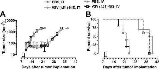 Figure 5. VSV(Δ51)-NIS controls the growth of myeloma tumors in bg/nu/xid mice. Mice bearing subcutaneous myeloma tumors (mean volume 100 mm3) were treated with VSV(Δ51)-NIS (2 doses of 5 × 107 TCID50/dose) and monitored for (A) tumor growth. Points, mean tumor volumes (n = 10 for test groups and n = 5 for the control groups); bars indicate SE. (B) Kaplan-Meier survival curves of mice treated with saline or VSV(Δ51)-NIS (intratumorally or intravenously). Arrows indicate virus injections.