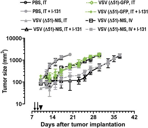 Figure 6. Radiovirotherapy of myeloma tumors in syngeneic, immunocompetent mice. C57BL6/KaLwRij mice with established subcutaneous myeloma tumors were treated with VSV(Δ51)-NIS or VSV(Δ51)-GFP (2 doses of 2.5 × 108 TCID50/dose) without or with 131I (1 mCi/mouse intraperitoneally 24 hours after virus administration) and tumor volumes are plotted against days after treatment. Arrows indicate virus injections; arrowhead, 131I injection; points, mean; bars, SE.