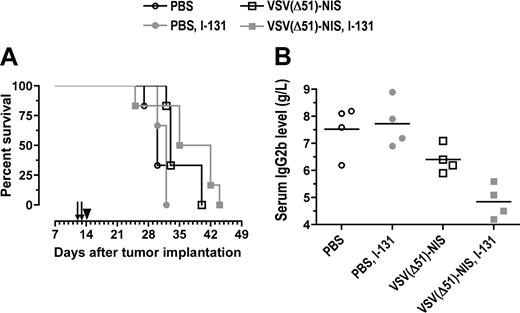 Figure 7. Radiovirotherapy of orthtopic myeloma tumors in syngeneic, immunocompetent mice. C57BL6/KaLwRij mice with disseminated myeloma were treated with VSV(Δ51)-NIS (2 doses of 2.5 × 108 TCID50/dose) without or with 131I (1 mCi/mouse intraperitoneally 24 hours after virus administration). (A) Median survival of mice is shown as Kaplan-Meier plots. Arrows indicate virus injections and arrowhead indicate 131I injection. (B) Myeloma burden of various cohorts was determined by measuring serum IgG2b levels on day 29 after tumor engraftment (n = 4 per group, average values are shown by line).