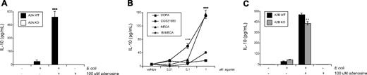 Figure 1. A2A receptors are critical for IL-10 production by E coli–challenged macrophages. (A) E coli and adenosine synergize in inducing IL-10 production by A2A receptor WT peritoneal macrophages. E coli both in the absence and presence of adenosine fails to induce IL-10 production by A2A KO macrophages. A2A KO and WT peritoneal macrophages were treated with heat-killed E coli (at a macrophage:bacterium ratio of 1:15) or cotreated with 100 μM adenosine and heat-killed E coli for 5 hours, and then IL-10 was measured from the supernatant using enzyme-linked immunosorbent assay. ***P < .001 vs. E coli A2A WT group. (B) Effect of adenosine receptor agonists on IL-10 production. The agonists were added to macrophages before stimulating with E coli. IL-10 concentrations were measured from the supernatants taken 5 hours after E coli stimulation. ***P < .001 vs. vehicle. (C) E coli and adenosine synergize in inducing IL-10 production by A2B receptor WT and, to a lesser extent, A2B KO peritoneal macrophages. A2B KO and WT peritoneal macrophages were treated with heat-killed E coli or cotreated with 100 μM adenosine and heat-killed E coli for 5 hours, and then IL-10 was measured from the supernatant using enzyme-linked immunosorbent assay. **P < .01 vs. E coli A2B WT group. Results (mean ± SEM) shown are representative of at least 3 experiments with n = 6 in each experiment.