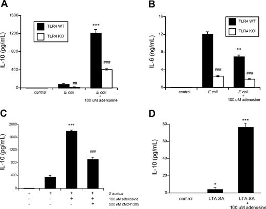 Figure 2. Effects of E coli and adenosine on IL-10 and IL-6 production by TLR4 WT and KO macrophages. (A) Adenosine synergizes with heat-killed E coli to up-regulate IL-10 production in both TLR4 WT and KO macrophages. Peritoneal macrophages were obtained from TLR4 KO and WT mice and were treated with heat-killed E coli (at a macrophage:bacterium ratio of 1:15) or E coli plus 100 μM adenosine for 5 hours, after which procedure IL-10 production was determined from the supernatant. ***P < .001 vs. corresponding E coli-treated group. ###P < .001 vs. corresponding E coli-treated groups. ##P < .01 vs. TLR4 WT group. (B) Effect of adenosine and E coli on IL-6 production. IL-6 levels were determined from the same supernatant that was used for measuring IL-10 production. ###P < .001 vs. corresponding TLR4 WT groups, **P < .01 vs. E coli-stimulated group. (C) S aureus (at a macrophage:bacterium ratio of 1:15) stimulates IL-10 levels, which is enhanced by adenosine. The enhancing effect of adenosine on S aureus–stimulated IL-10 production is reversed by the A2A receptor antagonist ZM241385. Peritoneal macrophages were obtained from CD-1 mice. IL-10 production was measured after 5 hours of stimulation with S aureus and/or 100 μM adenosine. ***P < .001 vs. S aureus alone. ###P < .001 vs. 100 μM adenosine. (D) Lipoteichoic acid prepared from S aureus stimulates IL-10 release by CD-1 mouse peritoneal macrophages, which is enhanced by adenosine. Peritoneal macrophages were obtained from CD-1 mice and treated with 1 μg/mL lipoteichoic acid prepared from S aureus or lipoteichoic acid prepared from S aureus plus 100 μM adenosine for 5 hours, after which IL-10 release was determined from the supernatant. *P < .05 vs. control and ***P < .001 vs. control. Results (mean ± SEM) shown are representative of at least 3 experiments with n = 6 in each experiment.
