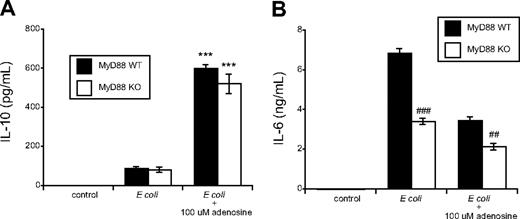 Figure 3. Role of MyD88 in regulating IL-10 and IL-6 production by E coli–treated and adenosine-stimulated macrophages. (A) MyD88 is not necessary for the synergistic effect of adenosine and E coli on IL-10 production. Peritoneal macrophages were taken from MyD88 KO and WT mice. After 5 hours of stimulation with heat-killed E coli or E coli plus adenosine IL-10 enzyme-linked immunosorbent assay was performed. ***P < .001 vs. corresponding adenosine-untreated, E coli–stimulated groups. (B) MyD88 is partially required for E coli–induced IL-6 production. IL-6 cytokine levels were determined from the same supernatants that were used for IL-10 detection. ###P < .001 vs. E coli–treated MyD88 WT group, ##P < .01 vs. adenosine/E coli–treated MyD88 WT group. Results (mean ± SEM) shown are representative of at least 3 experiments with n = 6 in each experiment.