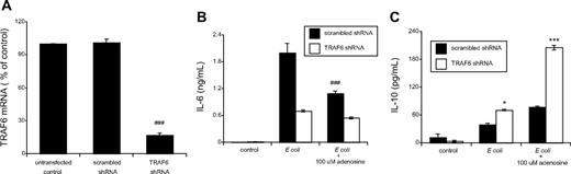 Figure 4. Effect of TRAF6 gene silencing on cytokine production by E coli–treated and adenosine-stimulated macrophages. (A) TRAF6 mRNA level was decreased in RAW 264.7 macrophages stably transfected with TRAF6 shRNA compared with scrambled shRNA. TRAF6 mRNA level was measured using real-time reverse-transcription polymerase chain reaction using total RNA isolated from untransfected, scrambled shRNA-transfected and TRAF6 shRNA-transfected RAW 264.7 macrophages. Results (mean ± SEM) shown are representative of at least 3 experiments with n = 4 in each experiment. ###P < .001. (B) IL-6 production was decreased by TRAF6 gene silencing and the suppressive effect of adenosine is TRAF6-dependent in E coli-stimulated macrophages. RAW 264.7 cells were transfected with a plasmid generating TRAF6 shRNAs for silencing of TRAF6. The transfected macrophages were treated with heat-killed E coli or E coli plus 100 μM adenosine for 5 hours, and IL-6 levels were measured using enzyme-linked immunosorbent assay from the supernatants taken at the end of the incubation period. ###P < .001 vs. scrambled. (C) Effect of TRAF6 silencing on IL-10 production by macrophages exposed to E coli or E coli plus adenosine. IL-10 production was determined from the supernatants that were obtained from stably transfected RAW 264.7 cells after 5 hours of exposure to E coli or E coli plus adenosine. *P < .05 vs. scrambled. ***P < .001 vs. scrambled. Results (mean ± SEM) shown are representative of at least 3 experiments with n = 4 in each experiment.
