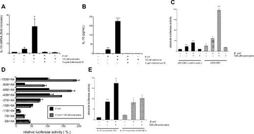 Figure 5. The stimulatory effect of adenosine on IL-10 production is transcriptional. (A) Adenosine enhances E coli–induced IL-10 mRNA accumulation. Peritoneal macrophages were pretreated for 2 hours with 5 μg/mL Actinomycin D before adding 100 μM adenosine and heat-killed E coli. IL-10 mRNA concentrations were measured by real-time polymerase chain reaction using RNA isolated 5 hours after stimulating with E coli and adenosine. Results (mean ± SEM) shown are representative of at least 3 experiments with n = 4 in each experiment. *P < .05 vs. E coli alone. (B) Actinomycin D inhibits the stimulatory effect of E coli and adenosine on IL-10 protein release. Supernatants were harvested from these treatments and IL-10 levels were measured using enzyme-linked immunosorbent assay. Results (mean ± SEM) shown are representative of at least 3 experiments with n = 4 in each experiment. **P < .005 vs. unstimulated control. ***P < .001 vs. E coli alone. (C) Adenosine up-regulates IL-10 promoter luciferase activity in RAW 264.7 macrophages exposed to E coli. To measure IL-10 promoter activity, cells were transiently transfected with an IL-10 promoter-luciferase reporter construct and an A2A receptor-expressing (pA2A-cytomegalovirus) or control (pRC-cytomegalovirus) plasmid. Cells were treated with E coli in the presence or absence of adenosine for 8 hours. Results (mean ± SEM) shown are representative of at least 3 experiments with n = 3 in each experiment. *P < .05 and ***P < .001 vs. control. (D) Sequences between −438 and −376 from the transcription start site in the IL-10 promoter are necessary for the stimulatory effect of adenosine on IL-10 promoter activity. RAW 264.7 cells were transfected with a series of IL-10 promoter deletion mutants that were inserted in the pGL2B luciferase reporter vector. Transfected cells were stimulated with E coli or E coli plus adenosine for 8 hours. Luciferase activities are expressed as the mean activity and SEM relative to the activity of the full-length promoter (−1538/ + 64; 100%) after E coli stimulation followed by normalization to protein concentration. Results (mean ± SEM) shown are representative of at least 3 experiments with n = 3 in each experiment. (E) C/EBP consensus sequences in the 5′ flanking region between −410/−385 of the IL-10 promoter are crucial for the stimulatory effect of adenosine. RAW 264.7 cells were transfected with a C/EBP consensus mutant of the IL-10 promoter that was inserted in the pGL2B luciferase reporter vector. Transfected cells were treated with E coli in the presence or absence of adenosine for 8 hours. Luciferase activities were normalized to protein concentration. C/EBP MUT: mutant. Results (mean ± SEM) shown are representative of at least 3 experiments with n = 3 in each experiment. *P < .05, **P < .005 vs E coli alone, and ***P < .001 vs. control.