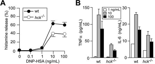 Figure 2. Hck deficiency results in reduced histamine release and cytokine production when mast cells are stimulated with high concentrations of antigen. IgE-sensitized WT and hck−/− BMMCs were stimulated with the indicated concentrations of antigen for 45 minutes (A) or 20 hours (B). Histamine, tumor necrosis factor-α, and IL-6 secreted into culture media were measured. Representative results from 3 experiments are shown. Error bars represent SD.