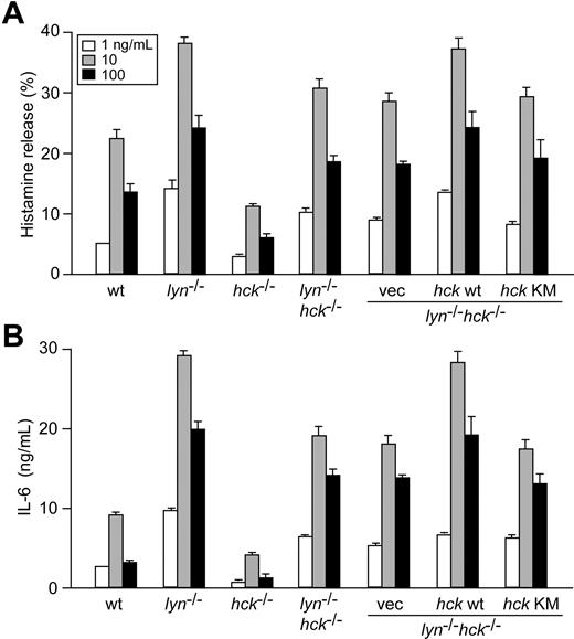 Figure 7. Hck/Lyn doubly deficient mast cells exhibit an intermediate activation phenotype between Hck- or Lyn-deficient cells, and positive and negative regulation via FcϵRI β subunit is exerted by Lyn-mediated phosphorylation of the canonical and noncanonical tyrosine residues. IgE-sensitized mast cells of the indicated genotypes and FcϵRIβ-transduced cells were stimulated with 1 (□), 10 (░), or 100 (■) ng/mL DNP23-HSA for 45 minutes (A) or 20 hours (B). Histamine and IL-6 secreted into culture media were measured. ND indicates not detected. Representative results from 2 independent transduction experiments are shown. Error bars represent SD.