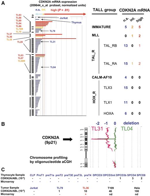 Figure 1. CDKN2A (p16ink4a) mRNA expression in human samples. (A) Study of CDKN2A mRNA expression using microarrays (U133A, 209644_x_at probe set; Affymetrix Technology, Santa Clara, CA). Evaluation was done as described14 on the 84 T-ALL samples (including Jurkat cell line) in which the status of the CDKN2A locus has been studied by Southern-blotting experiments, BAC array CGH, or oligonucleotide array CGH. D indicates that at least 1 of the CDKN2A alleles has been deleted. Expression is expressed in arbitrary units and classified according to the distribution of the noise (see “Patients, materials, and methods, Human samples and analyses” for details). P values less than .025 were considered as significant (alpha risk). NS indicates no significant expression (blue); Int, intermediate expression significant but P values greater than .01 (orange); high, high expression (P < .01; red). Cases were grouped according to oncogenic groups previously defined.14 T-ALL cases expressing significant levels of CDKN2A mRNA are identified by their unique patient number and printed with the color code defined by the level of CDKN2A expression. The order of the labels is identical to that shown in histograms. No significant expression was detected in thymocyte subsets (not shown). (B) Study of CDKN2A locus deletion by oligonucleotide aCGH. Two representative cases (TL04 and TL31) with CDKN2A locus biallelic deletions are shown. Values (−1) and (−2) represent ratio corresponding to the deletion of 1 allele and 2 alleles, respectively. TL04 shows a short deletion on both alleles, whereas TL31 shows a short deletion of 1 allele and a large 9p deletion (encompassing the second CDKN2A allele). (C) Study of CDKN2A mRNA expression by RQ-PCR and comparison with microarray data. Color code is identical to that used in panel A. RQ-PCR was performed using standard procedures. Efficiency and specificity of the p16INK4A RQ-PCR system was assessed on Hela DNA (50 ng/μL) serially diluted from 10−1 to 10−5. Calibration curves were performed using 10-fold serial dilutions of diagnostic DNA. ABL gene was used to normalize the samples. No template controls (H2O) as well as nonamplification controls (Jurkat leukemia cell-line DNA) were included in each assay. Expression lower than 10−2 was considered as not significant (ns) and not detailed in the figure.