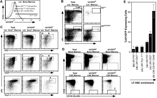 Figure 2. Id1/GFP expression in primitive bone marrow. (A) Id1/GFP expression in Lin− marrow. WBM of the indicated genotypes was immunomagnetically depleted of cells expressing an array of lineage markers (“Bone marrow analyses and cell sorting”), then evaluated by flow cytometry for relative GFP expression. Parentheses show average and SEM of Lin− cell fractions included in the indicated gate (n ≥ 12). (B) Id1/GFP expression in LSK marrow from wild-type (top) and Id1GFP/GFP mice (bottom). Lin− marrow was stained for Sca1 and c-kit expression. Left plots show staining of total Lin− marrow for these markers. Right panels show cells included in the GFP+ gate given in panel A. Boxes outline the LSK fraction. (C) Id1/GFP expression in HSC-enriched fractions of Id1GFP/GFP marrow. Lin−Sca1+ marrow was subdivided according to immunofluorescent intensity from additional HSC-related markers as indicated. Left plots show total Lin−Sca1+ marrow, center plots show Lin−Sca1+Id1/GFP− cells, and right plots show the GFP+ subset. Letters above gates correlate with populations listed in panel E. (D) Id1/GFP expression relative to CD150 and CD48 in WBM (top) and LSK marrow (bottom) as labeled. Box outlines the CD150+CD48− HSC-inclusive gate. (E) Relative Id1/GFP expression among several LSK marrow subsets. Each bar represents the average percentage of Id1/GFP+ cells of the named population. Phenotype definitions correlate to gated regions with the indicated letters in panels C and D. Averages were calculated from at least 3 independent samples. Error bar represents SEM. Populations are arranged in an ascending order for LT-HSC enrichment.