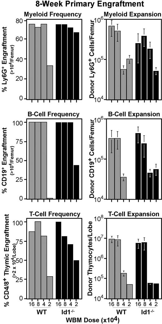 Figure 5. Primary engraftment from Id1−/− versus wild-type marrow. WBM was collected from Id1−/− and wild-type donors, and transferred intravenously to parallel cohorts of radiation-conditioned hosts, as described for primary transplantations in Figure 3. Doses transferred are indicated on the x-axes. Bone marrow and thymic samples were collected 8 weeks after transplantation and evaluated for specific lineage engraftment as described for Figure 3. Left panels give the fraction of hosts engrafted for each lineage by transplantation dose. Right panels give average numbers of cells produced by grafts in each lineage. Error bars indicate SEM. At least 7 hosts pooled from 2 independent transplantation experiments were evaluated per WBM dose for each genotype. Mice were considered engrafted in B-cell or myeloid lineage if their femora harbored at least 104 donor-type cells expressing CD19 or Ly6G, respectively. For the T lineage, the engraftment threshold was set at 2 × 104 donor cells per thymus, as noted on the y-axes. For all 3 lineages, engraftment thresholds were set based on background levels in controls that were irradiated but did not receive transplants included in each cohort of hosts.