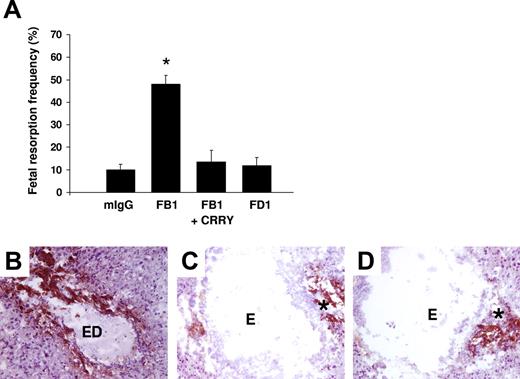 Figure 3. Only aPL antibodies that activate complement induce an increase in TF and fetal death in pregnant mice. (A) Pregnant mice were treated on days 8 and 12 of pregnancy with 2 different mouse monoclonal antibodies that recognize phospholipids on trophoblast cells. FB1 is an IgG2bκ that activates complement via classical pathway and FD1 is an IgG1κ that does not activate complement. A group of mice was treated with FB1 and the complement inhibitor Crry. On day 15, mice were killed and the frequency of fetal resorption was calculated (n = 6-7 mice/group). Mice that received FB1 had a high frequency of fetal resorption compared with those that received mIgG (P < .001). Administration of Crry protected mice from fetal death induced by FB1. Mice treated with FD1 did not show an increase in fetal resorption frequency that was observed with FB1. Error bars are SD. (B-D) Immunohistochemical analysis of decidual tissue from day 8 of pregnancy. Decidual tissue was processed for TF expression as described in “Materials and methods, Determination of TF functional activity in deciduas.” In FB1-treated mice (B), there was extensive TF deposition (brown) and embryo debris (ED). Treatment with Crry prevented the increase in TF expression in deciduas from FB1-treated mice (C). The decidual tissue from FD1-treated mice (D) showed minimal staining for TF in the ectoplacental cone (asterisk) and intact embryo comparable with mice treated with mIgG (not shown). Original magnification × 100.