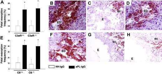 Figure 4. C5aR interaction and neutrophils are required for the increase in TF expression in aPL-induced fetal damage. (A) Pregnant C3aR−/− and C3aR+/+ mice were treated with aPL-IgG or NH-IgG on days 8 and 12 of pregnancy. Fetal resorption frequency was calculated as described 19in “Materials and methods, Murine aPL-induced fetal loss model.” Treatment with aPL-IgG caused an increase in fetal resorptions in wild-type mice (*P < .001 versus NH-IgG). C3aR−/− mice were not protected from fetal loss induced by aPL-IgG. Error bars here and in panel E are SD. (B-D,F-H) Immunohistochemical analysis of decidual tissue of day 8 of pregnancy. Decidual tissue was processed for TF as described in legend for Figure 1. (B) Deciduas from C3aR−/− mice treated with aPL-IgG showed extensive TF staining and embryo debris (ED) comparable with wild-type mice treated with aPL-IgG (not shown). (C) Deciduas from C5−/− mice showed less TF staining limited to the ectoplacental cone (ec) and intact embryos (E), while in deciduas from C5+/+ mice (D) there was extensive TF deposition and embryonic debris (ED). (E) Pregnant C6+/+ and C6−/− mice were treated with aPL-IgG or NH-IgG on days 8 and 12 of pregnancy. Fetal resorption frequency was calculated as described 19in “Materials and methods, Murine aPL-induced fetal loss model.” Treatment of C6+/+ with aPL-IgG caused an increase in fetal resorptions (*P < .005 versus NH-IgG). C6−/− mice were not protected from fetal loss and showed an increase in TF expression induced by aPL-IgG (F). (G) Deciduas from C5aR−/− mice treated with aPL-IgG showed limited TF staining and intact embryos (E). (H) TF staining was reduced in deciduas from wild-type mice that had received anti-Gr before aPL-IgG treatment.