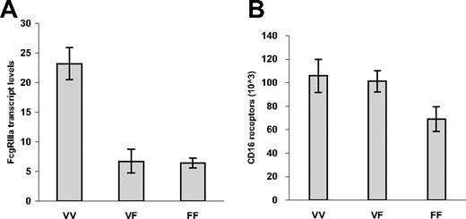 Figure 1. FcγRIIIa transcript expression on NK cells for 13 donors. Transcript expression was assayed by real-time RT-PCR analysis (A), and cell surface CD16 expression by quantitative flow cytometry (B), on NK cells for donors whose genotyping demonstrated FcγRIIIa-158 V/V (n = 4), V/F (n = 4), and F/F (n = 5). P is less than .001 for transcript levels for individuals with FcγRIIIa-158 V/V versus V/F or F/F genotype. P equals .029 for CD16 expression for individuals expressing at least one valine at FcγRIIIa-158 versus F/F. Values represent means plus or minus SE.