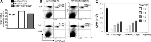 Figure 2. Role of OX40 in the genesis and suppressor functions of CD4+Foxp3+ Tregs. (A). Real-time RT-PCR analysis of Foxp3 gene transcripts in CD4+CD25+ Tregs sorted from wt C57BL/6 and OX40KO mice. Data shown are representative of 3 individual experiments. (B) Spleen (SP) and lymph node (LN) cells from wt foxp3gfpKI mice and OX40KO foxp3gfpKI mice were stained with cychrome–anti-CD4 and then compared for the presence of CD4+GFP(Foxp3)+ T cells by FACS. The data shown are representative data of 4 individual experiments. Numbers in quadrants are the relative percentage of cells in each region given by the flow cytometer. (C) CD4+GFP− T effector cells sorted from foxp3gfpKI mice were mixed with CD4+GFP(Foxp3)+ Tregs from wt and OX40KO foxp3gfpKI mice at different ratios, and suppression of T effector cell proliferation was shown. The data shown are representative of 4 individual experiments. Error bars represent SD of triplicate assays.