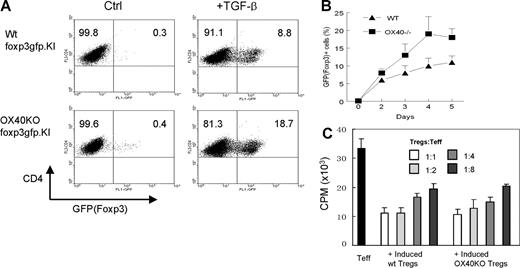 Figure 3. Effect of OX40 costimulation on the induction of new CD4+Foxp3+ Tregs from T effector cells. (A) CD4+GFP(Foxp3)− T effector cells were sorted from wt foxp3gfpKI mice and OX40KO foxp3gfpKI mice, The T effector cells were stimulated with anti-CD3 plus APCs in the presence or absence of TGF-β for 2 to 5 days. Induction of new GFP(Foxp3)+ T cells in the CD4+ fraction was determined by FACS. The dot plot shown is one of 3 individual experiments 4 days after the culture. Numbers in quadrants are the relative percentage of cells in each region given by the flow cytometer. (B) Induction of new GFP(Foxp3)+ Tregs calculated from 3 individual experiments. The conversion shown is the mean ± SD of 3 independent experiments at different time points. (C) Suppression of T effector cell proliferation by CD4+GFP(Foxp3)+ Tregs converted from either the wt or the OX40KO T effector cells. Data shown are representative of 3 independent experiments. Error bars represent SD of triplicate assays.
