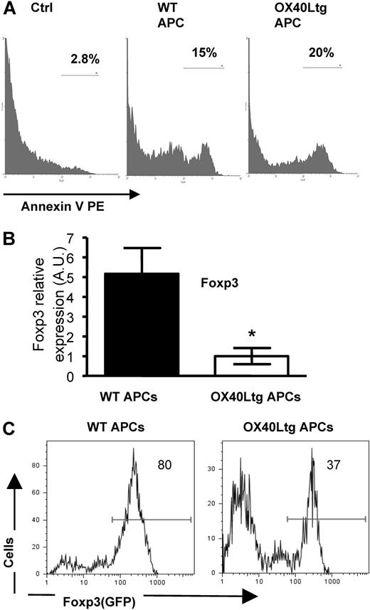 Figure 6. Effect OX40 stimulation on survival and Foxp3 expression of CD4+GFP(Foxp3)+ Tregs. (A) Sorted CD4+GFP(Foxp3)+ Tregs were stimulated with anti-CD3 plus wt and OX40Ltg APCs. Cells were stained with PE-annexin V 24 hours later and analyzed by FACS. Freshly prepared Foxp3+ Tregs stained with PE-annexin V were included as a control. The annexin V profile in the GFP+ fraction was shown. (B) Sorted CD4+GFP(Foxp3)+ Tregs were stimulated with anti-CD3 and wt or OX40Ltg APCs. Foxp3 gene transcripts were analyzed 4 days later by real-time PCR. Data shown are mean A.U. of 4 experiments in each group. Error bars represent the SD of triplicate assays. (C) Sorted CD4+GFP(Foxp3)+ Tregs were stimulated with anti-CD3 and wt or OX40Ltg APCs, levels of GFP(Foxp3) expression in the CD4+ fraction were determined by FACS 4 days later and shown. The plot shown is one of 3 experiments. (A,C) Numbers are the relative percentage of cells in each region given by the flow cytometer.