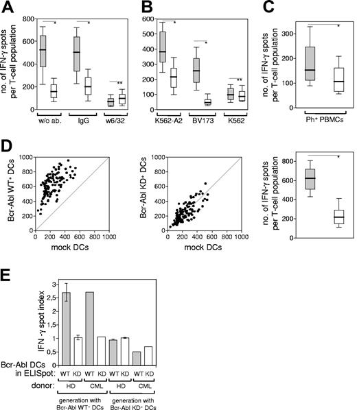 Figure 2. The T-cell response toward Bcr-Abl+ leukemia cells is HLA dependent and detectable in a CML patient. CD8+ T cells from HD no. 3 were stimulated with autologous Bcr-Abl WT+ DCs, and the IFN-γ production by the activated T-cell populations (n = 96) was measured by ELISpot after the third stimulation. (A) Box plot of the IFN-γ spots in the presence of following DCs: Bcr-Abl WT+ DCs (▒) or mock-transfected DCs (░) treated either with mAb W6/32, IgG control antibody, or without antibody. (B) CD8+ T lymphocytes derived from the same HLA-A2+ healthy donor were stimulated 3 times with autologous Bcr-Abl WT+ DCs (▒) or Bcr-Abl KD+ DCs (░). IFN-γ release of the activated T-cell populations (n = 60) was measured in the presence of Bcr-Abl+ leukemia cell lines. The box plots show the number of IFN-γ–releasing T cells upon restimulation with the HLA-A2+, Bcr-Abl+ cell lines K562-A2 and BV-173, and the HLA-A2−, Bcr-Abl+ cell line K562. (C) CD8+ T lymphocytes derived from an HLA-A2+ healthy donor (HD no. 3) were stimulated 3 times with the autologous Bcr-Abl WT+ DCs (▒) or Bcr-Abl KD+ DCs (░). The IFN-γ release by the activated T-cell populations (n = 96) was measured in the presence of HLA-A2–matched, allogeneic PBMCs derived from an HLA-A2+ CML patient in chronic phase (CML patient no. 1). (D) IFN-γ production by CD8+ T lymphocytes derived from a CML patient (CML patient no. 2) that had been stimulated 3 times with autologous DCs transfected with Bcr-Abl WT or Bcr-Abl KD. Incubation of these preactivated T-cell populations (n = 120) with Bcr-Abl WT–transfected DCs resulted in a higher amount of IFN-γ spots than the coculture with mock-transfected DCs (left). Incubation with Bcr-Abl KD+ DCs did not result in a specific IFN-γ production compared with the mock control (middle). The magnitudes of responses against Bcr-Abl WT+ DCs (▒) or Bcr-Abl KD+ DCs (░) were statistically evaluated in a box plot showing the median distribution of IFN-γ–producing T-cell populations (right, *P < .001; **P = ns; Mann-Whitney test, whiskers as in Figure 1). (E) Bar graph comparing IFN-γ spot indices between 3 healthy donors (HD no. 1, HD no. 2, HD no. 4) and CML patient no. 2. Error bars are SE.