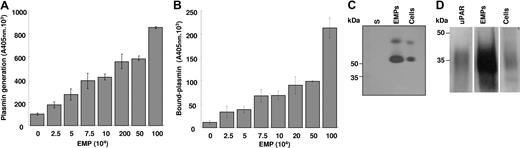Figure 2. Plasminogen is activated at the surface of EMPs by uPA. (A,B) A variable number of EMPs immobilized on poly-L-lysine surfaces were incubated with fixed concentrations of plasminogen (0.5 μM) and the plasmin-selective chromogenic substrate (0.75 mM). The graph in panel A shows an increase in the formation of plasmin as a function of the number of immobilized microparticles. Unbound reagents were then washed off and the chromogenic substrate added to detect plasmin that remained bound to the immobilized EMPs; the graph (B) shows an increase in bound plasmin as a function of the number of immobilized EMPs. Representative graphs (mean ± SD) of 3 independent experiments. (C,D) Protein extracts from HMEC-1 and its derived EMPs were processed for zymography (panel C) to detect plasminogen activator activity (5 μg protein/lane; S: EMP last washing supernatant) and for immunoblot (panel D) using rabbit antibodies against uPAR and purified uPAR as reference (20 μg protein/lane). The ∼50 kDa and upper bands in panel C were inhibited by antibodies to urokinase (not shown). A space has been inserted to indicate where a gel lane was cut. These gels came from different experiments as indicated by the space between the gels.