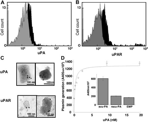 Figure 3. Identification of uPA, uPAR, and uPA/uPAR complex on EMP. (A,B) Measured fluorescence intensity by flow cytometry analysis of EMPs with anti-uPA (A) and anti-uPAR (B) antibodies (black) and the corresponding isotype controls (gray). (C) Representative images of immunogold labeling of uPA (top) and uPAR (bottom) analysis on EMPs by transmission electron microscopy. Slides were viewed with a JEOL 1220 transmission electron microscope (JEOL, Tokyo, Japan). Images were acquired using a MegaView III camera (Soft Imaging System, Munster, Germany) and were processed with Analysis software (Soft Imaging System) and Adobe Photoshop version 7.0 software (Adobe Systems, San Jose, CA). The dimension of the bars indicate the relative small size of these EMPs, and the clusters of 15-nm gold particles (black dots) indicate the presence of uPA and uPAR at the surface of EMPs. (D) Main graph: isotherm of the binding of varying amounts of scuPA incubated with EMPs immobilized on a poly-L-lysine surface. The amount of bound scuPA was detected by its ability to activate plasminogen using a chromogenic substrate selective for plasmin. Data fitted to the Langmuir equation as indicated in “Materials and methods” allowed calculation of a dissociation constant, Kd = 0.1 nM, for the interaction of scuPA with its receptor. Representative graph (mean ± SD) of 3 independent experiments. Inset: specificity of the binding of native scuPA is demonstrated by its inhibition with a modified recombinant form of scuPA (r-scuPA, ILe159→Gly) that bind to its receptor but cannot be activated. The bars represent the mean (± SD) of 3 independent experiments.