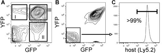 Figure 1. Characterization of leukemia models. (A) Example of bone marrow derived from a primary recipient of coinfected cells. The BCR/ABL-transduced cells are detected by GFP expression and the Nup98/HoxA9-infected cells are detected by YFP expression. Panels I and II indicate singly infected populations, whereas panel III shows cells that are successfully transduced with both the BCR/ABL and Nup98/HoxA9 vectors. (B) Example of bone marrow derived from a secondary recipient of coinfected cells. The doubly transduced cells typically outgrow the singly infected populations shown in panel A. (C) GFP−/YFP− cells from the secondary recipient in panel B were analyzed with respect to Ly5.1 versus Ly5.2 expression as a means to verify host origin and to establish that potential donor leukemic cells have not lost GFP/YFP expression (host cells in this experiment were of Ly5.2 origin). Fidelity of the system is demonstrated by greater than 99% purity of the host marker.