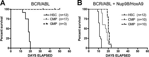 Figure 2. Kaplan-Meier analysis of survival for CML and bcCML models. (A) Donor populations of purified HSCs, CMPs, or GMPs were infected with the BCR/ABL retrovirus and transplanted into primary mice. (B) Donor populations of purified HSCs, CMPs, or GMPs were infected with the BCR/ABL + Nup98/HoxA9 retroviruses and transplanted into primary mice. Numbers of recipients indicated in parentheses for each donor cell type. Days of survival after transplantation are indicated for each cell type on the x-axis.