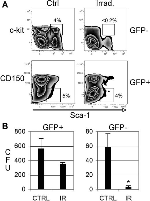 Figure 5. Phenotypic and in vitro analyses of irradiated normal versus leukemic animals. (A) Bone marrow cells were isolated from control versus irradiated (5.5 Gy) animals and labeled with antibodies to detect stem-cell populations (indicated by the box in each panel). The top panels show GFP− (ie, normal) cells and the bottoms panels show GFP+ (ie, leukemic) cells. The data shown for each panel are gated on the Lin− population. (B) Colony-forming units (CFUs) were determined for sorted GFP+ (leukemic) and GFP− (normal) populations. Data shown are the absolute number of colonies measured per 5000 cells plated (triplicate assays). *Statistical significance(P = .009) as determined by Student t test. Error bars are SD.