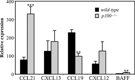 Figure 4. Deregulated chemokine expression in p100−/− spleens. Total RNA from wild-type and p100−/− spleens was analyzed for chemokine expression by QRT-PCR. Relative mRNA expression corrected for β-actin levels is shown. Error bars indicate SD from 3 to 4 experiments. Significant differences are indicated (Student t test, **P < .01; ***P < .002).