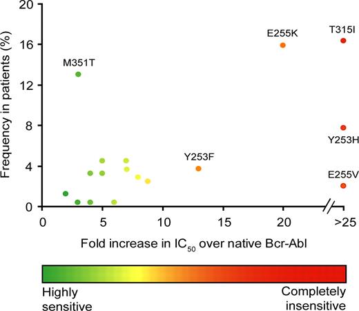 Figure 3. Correlation between imatinib resistance level and frequency of mutations isolated from patients. The fold-increase in IC50 value for inhibition of cell proliferation by imatinib compared with cells expressing native Bcr-Abl is plotted on the abscissa versus the clinical frequency in patients (%). As described in Hughes et al,3 the results are compiled from 20 studies. To allow for better comparison, only mutants whose IC50 was determined in the same laboratory were included in the analysis. Unlabeled points represent M244V, G250E, Q252H, F311L, F317L, E355G, F359V, V379I, L387M, H396P, and H396R.