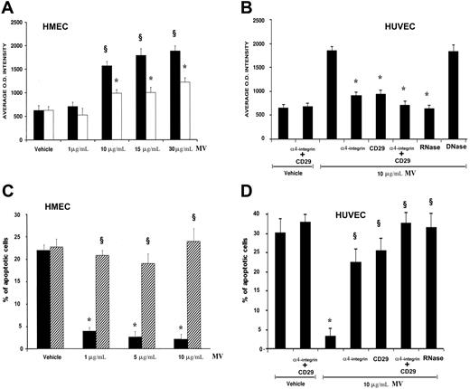 Figure 3. Proliferative and antiapoptotic effects of EPC-derived MVs. (A,B) Eight thousand cells/well (A, HMECs; B, HUVECs) into 96-well plates were added with 10 μM BrdU, incubated for 72 hours in EBM-2 without FCS and growth factors in the presence of vehicle alone or of different doses of MVs (A, HMECs ■) or with 1 U/mL RNase-treated MVs (□). HUVECs (B) were incubated with vehicle alone (M199 medium) or vehicle plus 1 μg/mL of anti-α4 integrin– and anti-CD29–blocking Abs or with 10 μg/mL MVs alone or 10 μg/mL MVs preincubated (30 minutes, 37°C) with 1 μg/mL anti-α4 integrin or anti-CD29–blocking Ab or both or with 1 U/mL RNase or DNase (1 hour, 37°C). Cells were then fixed with 0.5 M ethanol/HCl and incubated with nuclease to digest the DNA. BrdU incorporated into the DNA was detected using an anti-BrdU peroxidase-conjugated mAb and visualized with a soluble chromogenic substrate. Optical density was measured with an ELISA reader at 405 nm. Results are expressed as mean (± 1 SD) of 3 experiments. Analysis of variance with Newmann-Keuls multicomparison test was performed; §P < .05 MVs versus vehicle alone; *P < .05 MV treatments versus MV alone. (C,D) The percentage of apoptotic cells after 48-hour serum withdrawal was evaluated by the TUNEL assay. HMECs (C) were incubated with vehicle alone or with different doses of MVs (■) or with 1 U/mL RNase-treated MV (▨). HUVECs (D) were incubated with vehicle alone or vehicle plus 1 μg/mL of anti-α4 integrin and anti-CD29–blocking Abs or with 10 μg/mL MV alone or 10 μg/mL MV preincubated (30 minutes, 37°C) with 1 μg/mL anti-α4 integrin or anti-CD29–blocking Ab or both or with 1 U/mL RNase (1 hour, 37°C). Results are expressed as mean (± 1 SD) of 3 experiments. Analysis of variance with Newmann-Keuls multicomparison test was performed; *P < .05 MVs versus vehicle alone; §P < .05 MV treatments versus MVs alone.
