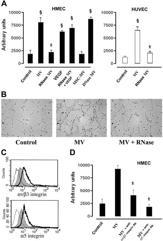 Figure 4. In vitro proangiogenic effects of EPC-derived MVs. (A) HMECs (■) or HUVECs (□) (5 × 104 cells/well) were plated on growth factor–reduced Matrigel in DMEM + 0.25% BSA and were challenged for 6 hours at 37°C with vehicle alone (M199 medium) as control or with 10 μg protein EPC-derived MVs/mL, or RNase- or DNase (1 U/mL)–treated MVs, or 10 ng/mL VEGF or 10 ng/mL VEGF in the presence of RNase-treated MVs. In selected experiments, HMECs were stimulated with 10 μg protein MSC-derived MVs/mL. Data show the mean (± 1 SD) of total length of capillary-like structures detected by Nikon Eclipse TE 200 inverted microscope (objective, 10×/0.25; Tokyo, Japan), analyzed by the Micro-Image system (Casti Imaging) and expressed as arbitrary units by the computer analysis system in 5 different files at × 100 magnification in duplicated wells of 4 different experiments. Analysis of variance with Newmann-Keuls multicomparison test was performed; §P < .05 different treatments versus unstimulated control; *P < .05 RNase MVs and MSC-derived MVs versus EPC-derived MVs. (B) Representative micrographs of capillary-like structure formation on Matrigel by HMECs unstimulated (Control) and stimulated with either 10 μg/mL MVs or with RNase(1 U/mL)–treated MVs (scale bar, 20 μm). (C) Representative FACS analysis of ανβ3 and α5 integrin expression by HMECs unstimulated (gray filled curves) or stimulated with 10 μg/mL MVs (open curves, dark lines). Dotted lines indicate the isotypic controls. Two MV preparations were analyzed with similar results. In each experiment the Kolmogorov-Smirnov statistical analysis between relevant antibodies and the isotypic control was significant (P < .001). (D) Effect of 10 μg/mL blocking antibodies anti-ανβ3 and anti-α5 integrins on capillary-like structure formation by HMECs cultured on Matrigel added 30 minutes after stimulation with 10 μg/mL MVs. Analysis of variance with Newmann-Keuls multicomparison test was performed; *P < .05 MV plus blocking antibodies versus MVs alone.