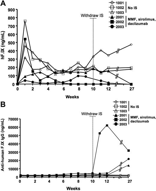 Figure 1. hF.IX expression levels and anti-hF.IX antibody formation after AAV2-hF.IX hepatic gene transfer in rhesus macaques receiving MMF, sirolimus, and daclizumab and in nonimmunosuppressed controls. Time 0 represents baseline samples; dotted vertical line shows the time IS was withdrawn. Each line is representative of one individual animal. All animals received 8 × 1012 vg/kg of an AAV-2-hF.IX vector infused through the hepatic artery. Solid symbols indicate animals receiving a course of IS consisting of MMF, sirolimus, and daclizumab; open symbols, non-IS control animals. (A) Plasma human F.IX levels. (B) Plasma antihuman F.IX total IgG levels.