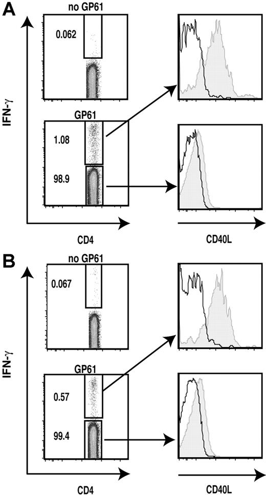 Figure 5. LCMV-specific effector and memory Th1 cells rapidly mobilize preformed CD40L upon antigenic stimulation. The surface mobilization assay was combined with intracellular cytokine staining of LCMV-infected splenocytes to detect mobilization of preformed CD40L on the cell surface of LCMV-specific effector (A) (day 9 after infection) and memory (B) (6 months after infection) Th1 cells 30 minutes after stimulation with LCMV GP61 peptide-pulsed APCs as described in “Materials and methods, Flow cytometric analysis of CD40L expression.” The levels of CD40L (shaded) and isotype control (line) for IFN-γ+ and IFN-γ− populations are shown. Numbers in plots indicate the percentage of that population among CD4+ cells in the sample. Data shown are representative of 3 independent experiments.
