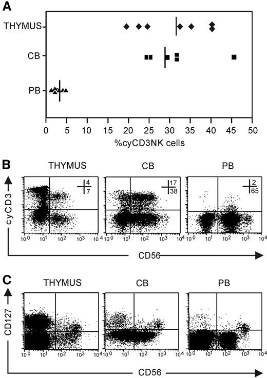 Figure 3. Expression of cyCD3+ in NK cells in vivo. NK cells were enriched by depleting membrane CD3+ cells with CD3-biotin and streptavidin Dynalbeads. The NK-cell–enriched cell fraction was analyzed for CD56 and cyCD3 expression after carefully gating out membrane CD3+ cells to avoid contamination with peripheral T cells and NKT cells that are cyCD3+. (A) Frequencies of NK cells that express cyCD3 in thymus (♦), CB (■), and PB (▴); solid lines represent the means of 6 to 8 independent samples. (B) Dot plot analysis of cyCD3 expression on gated CD56+CD3− NK cells. Note the difference in the intensity of cyCD3 expression between PB (low) and CB (high) and thymus (high). Numbers in dot plots show the frequency of cells in the respective top right and bottom right quandrants. (C) Dot plot analysis of CD127 versus CD56 expression on gated CD3− thymus, CB, and PB cells. Note that the CD127+ subset is present in the CD56bright subpopulation, whereas most cyCD3 cells are present in the CD56dim population.
