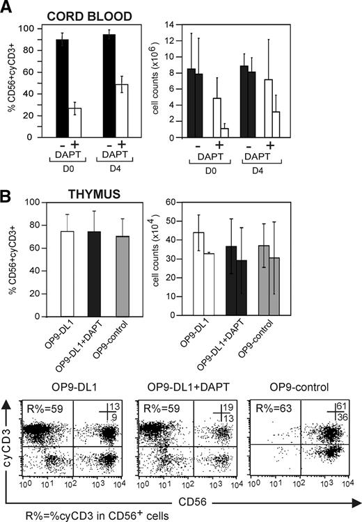 Figure 5. Transient Notch stimulation allows generation of cyCD3+CD56+ NK cells. (A) Notch receptor triggering of CB progenitor cells by DL1 for 4 days is sufficient to generate cyCD3+ NK cells. Comparative frequencies of and numbers of cyCD3+CD56+ NK cells derived from CD34+ progenitor cells that did or did not receive a Notch signal in preculture. CD34+ CB progenitor cells received a Notch signal in vitro by preculture on OP9-DL1 cells during 4 days with Flt-3L, SCF, and IL-7. Both CD34+ CB cells without preculture (D0) and CD34+CB cells precultured on OP9-DL1 for 4 days (D4) were used to generate NK cells by coculture for 22 or 18 days, respectively, on OP9-DL1 stromal cells with Flt-3L SCF, IL7, and IL-15 in the absence or presence of DAPT. Left bar diagram shows the frequency of cyCD3+ NK cells generated from CB cells without preculture (D0) or precultured (D4) and further cultured on OP9-DL1 in the absence (■) or presence (□) of 5 μM DAPT. The right bar diagram shows the influence on the absolute number of NK cells obtained in the absence (■) or presence (□) of DAPT as indicated. Each time, the left bar indicates the absolute number of all CD56+ NK cells, whereas the right bar indicates the absolute number of cyCD3+CD56+ NK cells. Results represent means (+SD) of 2 independent experiments. (B) NK cells derived from thymic precursors express cyCD3, even without further Notch signaling. CD34+ progenitors from the thymus were cultured on OP9-DL1, OP9-DL1 in the presence of 5 μM DAPT, and OP9-control. The left bar diagram represents the frequencies of cyCD3+CD56+ NK cells. The right bar diagram represents the absolute number of NK cells in different stromal coculture conditions as described on the x-axis. Each time, the left bar indicates the number of all CD56+ NK cells, whereas the right bar indicates the absolute number of cyCD3+CD56+ NK cells. Dot plots in lower panel represent the flow cytometric analysis of cyCD3 (y-axis) versus CD56 (x-axis) of cells generated from thymic progenitor cells under different stromal coculture conditions as indicated. Numbers in the dot plots show the percentage of cells in the respective top right and bottom right quadrants. R% indicates the frequency of CD56+CyCD3+ NK cells within the CD56+ cell population. Note the high number of cyCD3+CD56+ NK cells even when the Notch pathway is not triggered by DL (OP9-control) or inhibited by the γ-secretase inhibitor DAPT. The bars represent means (+ SD) of 3 independent experiments, of which 1 is shown as a representative dot plot.