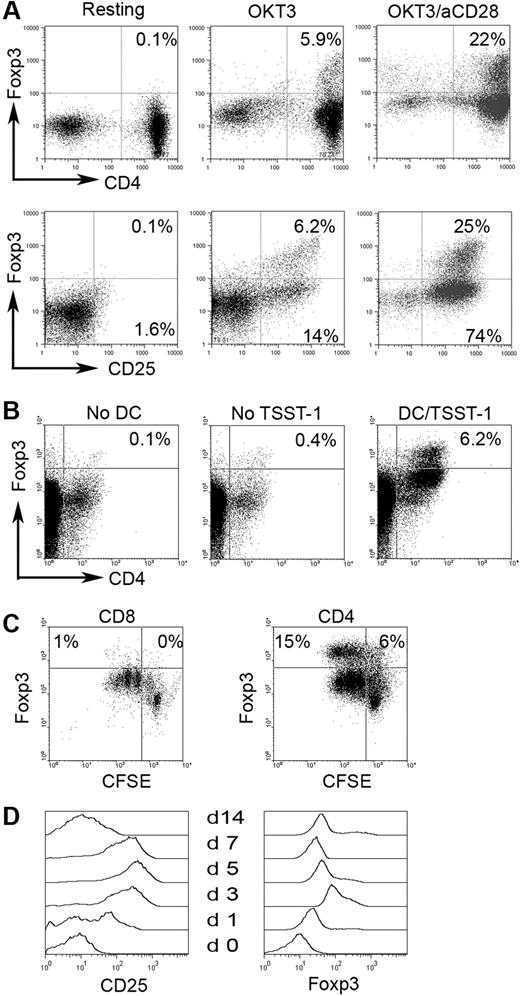 Figure 3. Foxp3 induction in CD4+CD25− T cells in biopsy specimens of B-cell NHL. Foxp3 expression was examined in CD4+CD25− T cells stimulated with OKT3 or OKT3/anti-CD28 Ab (A) (n = 10) or with in vitro–generated DCs pulsed with or without super-Ag TSST-1 (B) (n = 3). (C) Foxp3 expression in CD4+CD25− or CD8+ T cells upon activation. CFSE was used to monitor activation and proliferation (n = 6). Percentages indicate number of proliferated CD8+ T cells (CFSEdim) of just the CD8+ cell population. (D) CD25 and Foxp3 expression determined at specific day after activation in intratumoral CD4+CD25− T cells in B-cell NHL (n = 4).