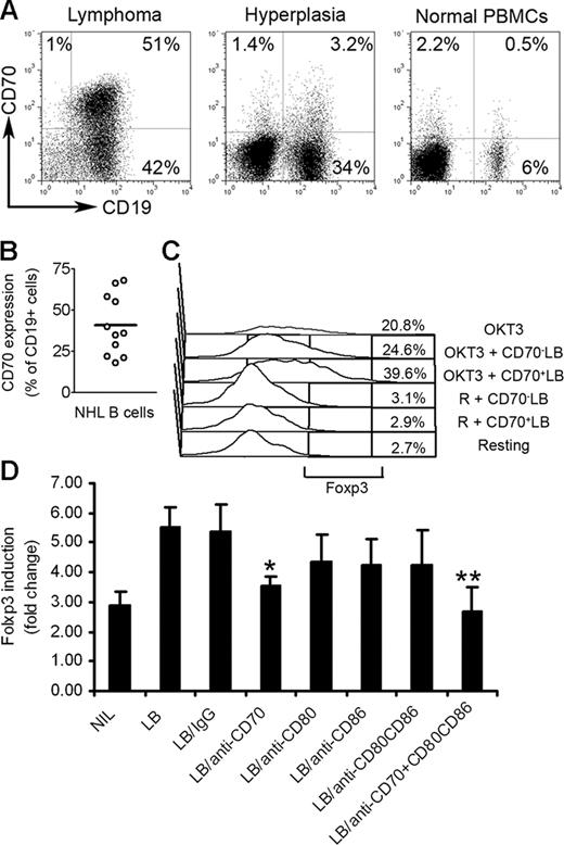 Figure 5. Effect of CD27-CD70 interaction on Foxp3 induction in CD4+CD25− T-cell biopsy specimens of B-cell NHL. (A) Representative dot plots showing CD70 expression on CD19+ B cells in biopsy specimens from patients with lymphoma or biopsy specimens from patients with follicular hyperplasia or PBMCs from healthy individuals. Percentages indicate number of CD19+CD70+ cells as a percentage of all unsorted mononuclear cells. (B) Summarization of frequency of CD19+CD70+ cells in biopsy specimens of patients with NHL (n = 11). The horizontal bar represents the median Foxp3 expression level. (C) CD70+ (CD70+ LB) and CD70− (CD70− LB) lymphoma B cells were isolated by flow sorting and cocultured with intratumoral CD4+CD25− T cells in plates coated with (OKT3) or without (R) OKT3 for 3 days. Foxp3 expression was determined by intracellular staining. (D) Summarization of Foxp3 induction in CD4+CD25− T cells cocultured with lymphoma B cells (LB) treated with anti-CD70 Ab alone (LB/anti-CD70), or combination with anti-CD80 and CD86 Abs (LB/anti-CD70 + CD80CD86) in plates precoated with OKT3 for 3 days. Foxp3 expression was determined by intracellular staining. Foxp3 induction is indicated by fold change to group without stimulation (mean ± SE). *P < .05 compared with group with LB alone; **P < .01 compared with group with LB alone.