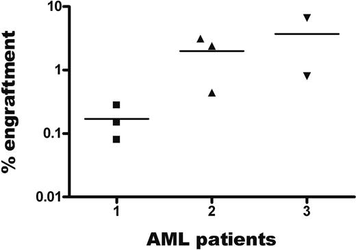 Figure 4. Engraftment of CD34+CLL-1+ AML blasts in NOD/SCID mice. FACS-sorted CD34+CLL-1+ cells from 3 different AML patients were transplanted into NOD/SCID mice. Six weeks after transplantation, the mice were killed and engraftment of human cells in these mice was studied using human anti-CD45. In this figure, the overall results are depicted on a logarithmic scale; every symbol represents the percentage engraftment of human CD45+ cells in one mouse. In a mouse that received a transplant of the whole CD34+ population from patient 2, which included the CD34+CD38−CLL+, but also a clear CD34+CD38−CLL-1− population (15% of the CD34+CD38− population), outgrowth of CD45dimCD33+CD19− AML cells was likewise accompanied by outgrowth of CD45dimCD33−CD19+ cells (18% of human cells), which are presumably normal (data not shown).22 Horizontal lines represent the mean percentage engraftment of leukemic cells.