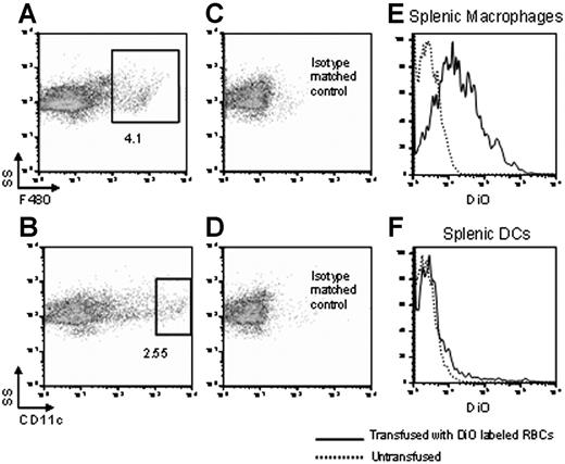 Figure 1. Transfused RBCs are consumed predominantly by macrophages and not DCs in the spleens of noninflamed mice. Syngeneic RBCs were labeled with DiO and transfused into recipient mice. Twenty-four hours later, splenocytes were harvested and either macrophages or DCs were visualized by staining with anti-F4/80 or anti-CD11c, respectively (A,B). Numbers represent percentage of cells in gate. Specificity was confirmed by staining with isotype matched controls (C,D). Numbers represent percentage of cells in gate. After gating on macrophages or DCs, DiO fluorescence was measured in each population (E,F) (–). Untransfused mice were used as a negative control to determine background fluorescence on the DiO channel (E,F) (------). Staining from representative mice is shown, and y-axes of histograms represent percentage of maximum peak value. This experiment was performed 3 times with similar results.