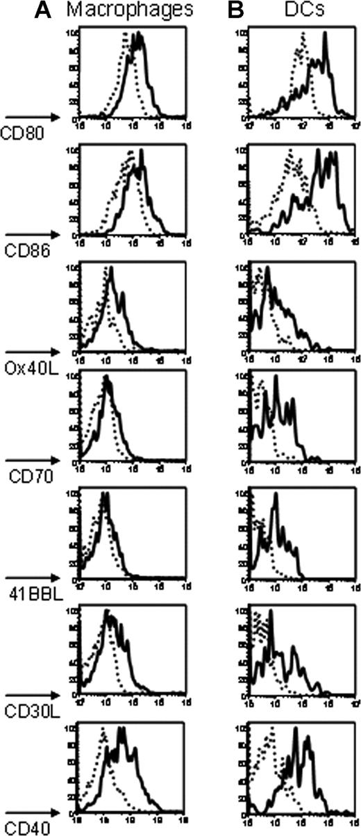 Figure 5. Poly (I:C) induces co-stimulatory molecule expression on macrophages and DCs. Twenty-four hours after intraperitoneal injection with either poly (I:C) or control PBS, splenocytes were harvested, and macrophages and DCs were visualized with anti-F4/80 or anti-CD11c, respectively (not shown). After gating on macrophages (A) or DCs (B), staining with antibodies specific for the indicated costimulatory molecules was performed. Cells from mice treated with poly (I:C) (–) are compared with control mice injected with PBS (------). Staining from representative mice is shown, and y-axes of histograms represent percentage of maximum peak value. This experiment was performed 3 times with similar results.